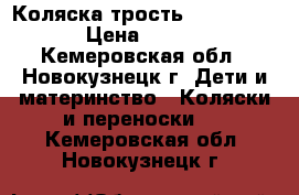Коляска трость Rich Family › Цена ­ 1 300 - Кемеровская обл., Новокузнецк г. Дети и материнство » Коляски и переноски   . Кемеровская обл.,Новокузнецк г.